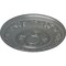 Ekena Millwork Nestor Ceiling Medallion (Fits Canopies up to 5"), Hand-Painted Platinum, 25 7/8"OD x 2 1/4"P CM25NEPLS - alternate 2